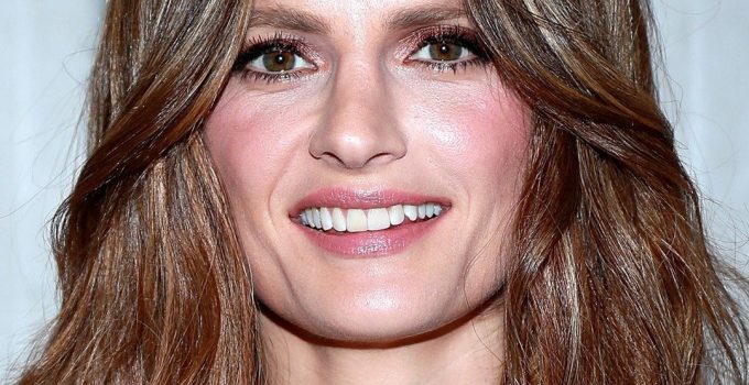 stana katic Net Worth