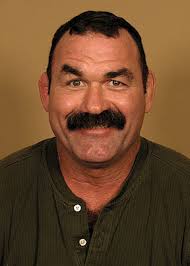 Don Frye Net Worth